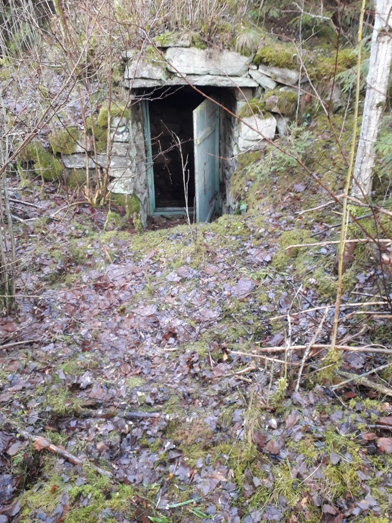 Jordkällaren 1