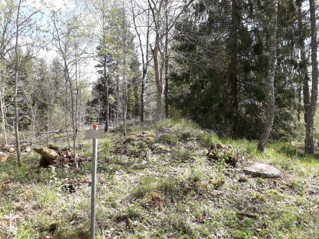 Kulla Nissen 2