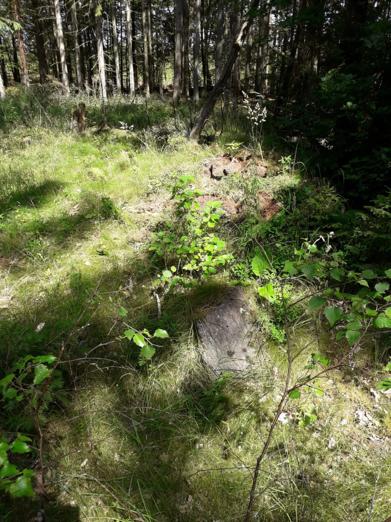 Skönalund1